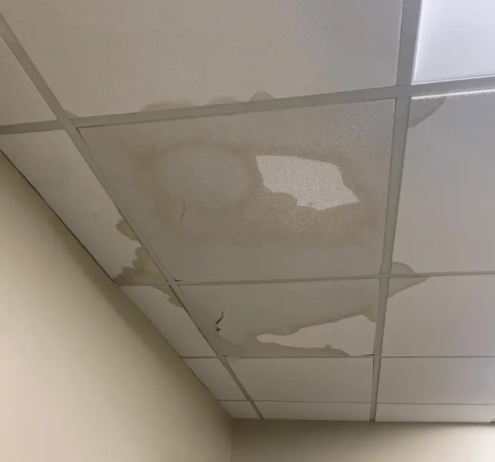 Water-stained ceiling from a storm roof leak in a Laguna Hills, CA home